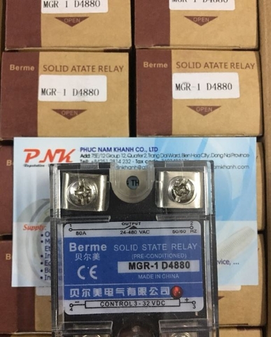 RỜ LE SSR MGR-1 D4880