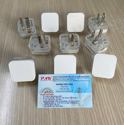 PHÍCH CẮM 3 CHẤU E16P SCHNEIDER