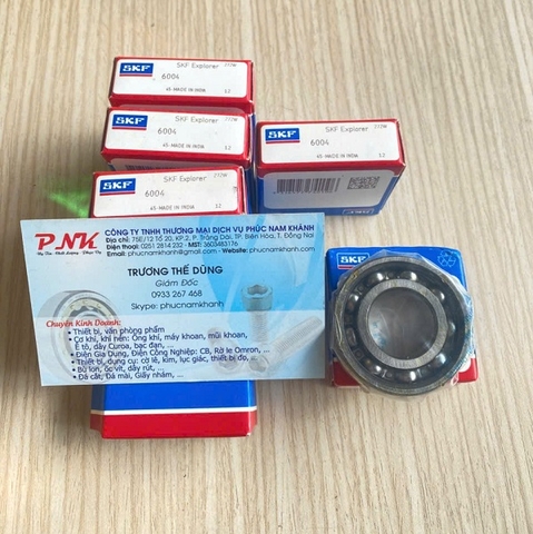 VÒNG BI SKF 6004
