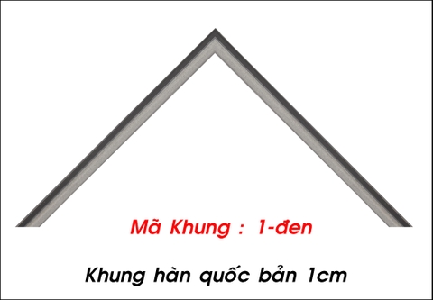 Mã khung :  1 đen