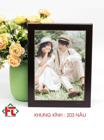 Khung kính : 203 NÂU