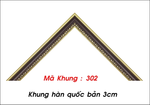 Mã khung : 302