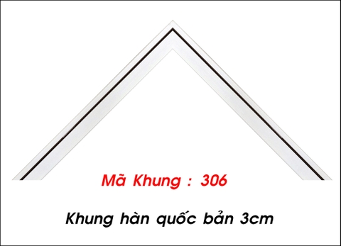 Mã khung : 306