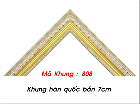 Mã khung : 808