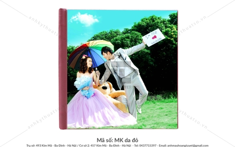 ALBUM BÌA MIKA