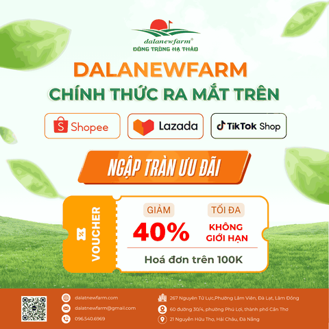 DalaNewfarm Chính Thức Có Mặt Trên Shopee – TikTok Shop – Lazada: Ưu Đãi Giảm 40% Toàn Bộ Đơn Hàng Đến 15/12/2025
