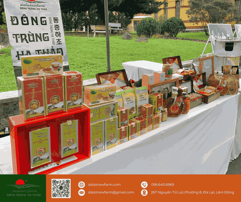 𝐃𝐚𝐥𝐚𝐍𝐞𝐰𝐟𝐚𝐫𝐦 đồng hành cùng Họp báo công bố Lễ hội Cồng chiêng Đông Nam Á 2025