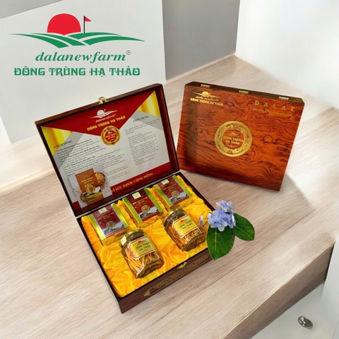 Quà Tết Đông Trùng Hạ Thảo – Những Món Quà Ý Nghĩa, Thiết Thực Và Bảo Vệ Sức Khỏe