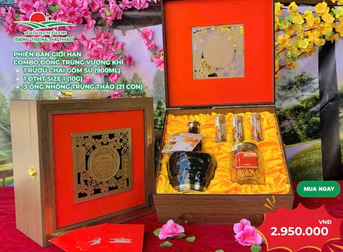 Đông Trùng Hạ Thảo – Những Hạn Chế, Thách Thức Và Lựa Chọn Quà Tết Đúng Giá Trị