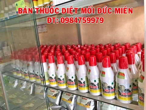 Diệt mối tận gốc 2