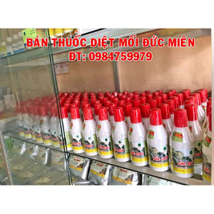 Dịch vụ diệt mối tận gốc 1