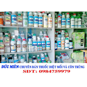 Diệt mối tận gốc