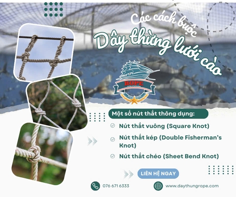 𝑩𝒂̣𝒏 Đ𝒂̃ 𝑩𝒊𝒆̂́𝒕 𝑪𝒂́𝒄𝒉 𝑺𝒖̛̉ 𝑫𝒖̣𝒏𝒈 𝑫𝒂̂𝒚 𝑻𝒉𝒖̛̀𝒏𝒈 Đ𝒆̂̉ 𝑩𝒖𝒐̣̂𝒄 𝑳𝒖̛𝒐̛́𝒊 𝑪𝒂̀𝒐 𝑪𝒉𝒖̛𝒂?