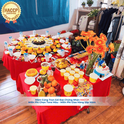 Mâm Cúng Đầy Tháng VIP2