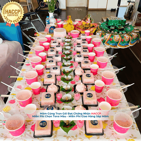 Mâm Cúng Đầy Tháng VIP1