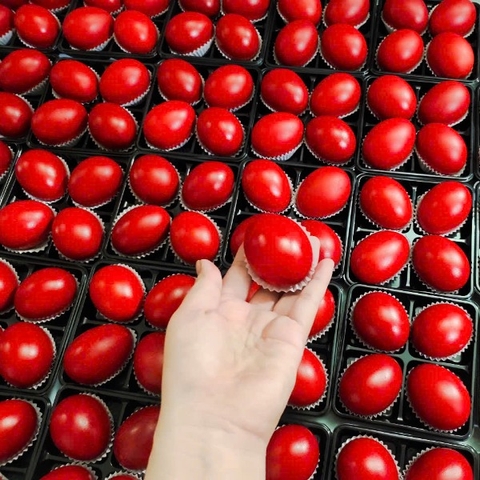 Trứng Gà Đỏ - Trứng Báo Hỷ