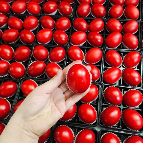 Trứng Gà Đỏ - Trứng Báo Hỷ