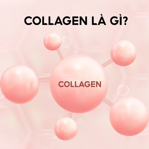 Collagen là gì? Chức năng vai trò chính của nó
