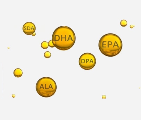 Omega 3 có thành phần gì? Bào chế dưới dạng nào?