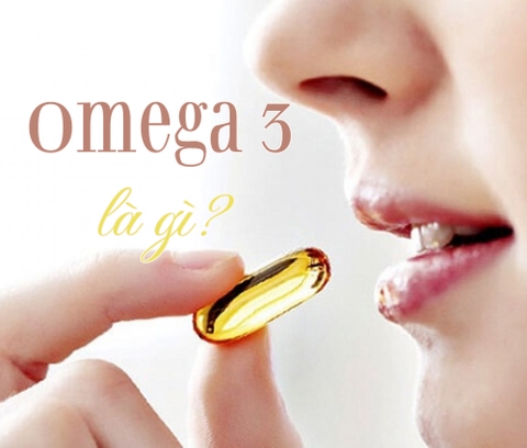 Omega 3 là gì? Ăn gì có nhiều omega 3?