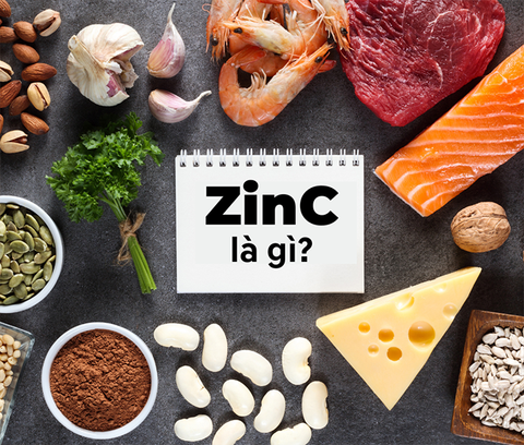 ZinC là gì? Những lợi ích của ZinC