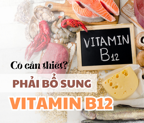 CÓ CẦN THIẾT PHẢI BỔ SUNG VITAMIN B12?