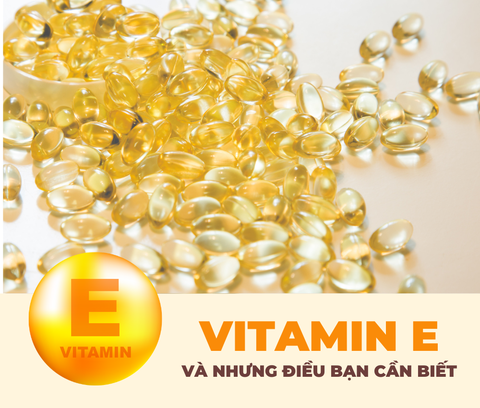 VITAMIN E VÀ NHỮNG ĐIỀU BẠN CẦN BIẾT