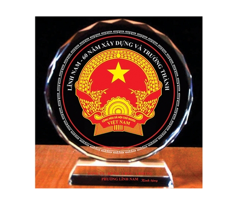 Kỷ niệm chương mẫu 01