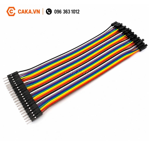 Dây Cắm Breadboard Đực Cái 20cm 40 Sợi