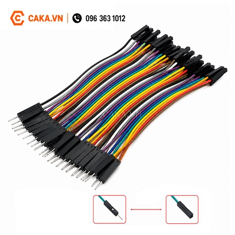 Dây cắm Breadboard Đực Cái 10cm 40 Sợi
