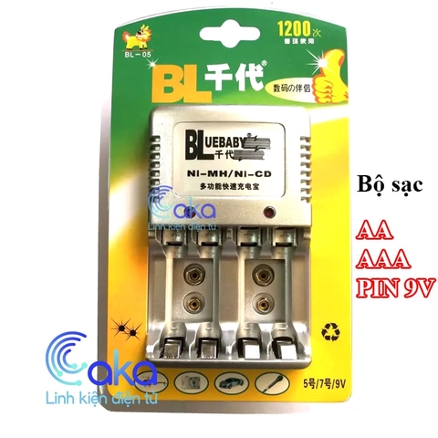Bộ sạc pin AA AAA 9V