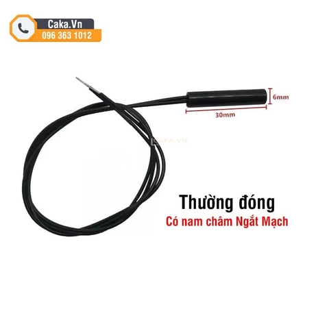 Cảm Biến Từ Cửa 6x30mm – Công Tắc Từ Thường Mở/Đóng