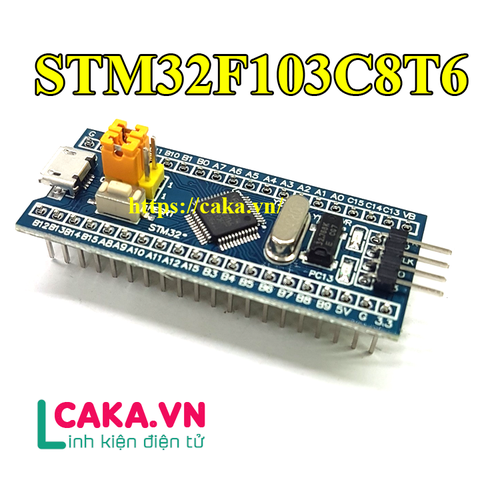 Kit Phát Triển STM32F103C8T6 Blue Pill ARM Cortex-M3
