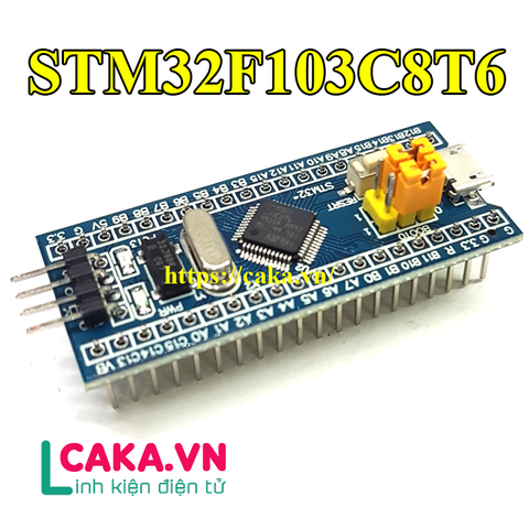 Kit Phát Triển STM32F103C8T6 Blue Pill ARM Cortex-M3