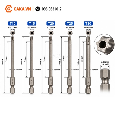Mũi Vít Hoa Thị Có Lỗ T10 T15 T20 T25 T30 Dài 100mm Thép S2