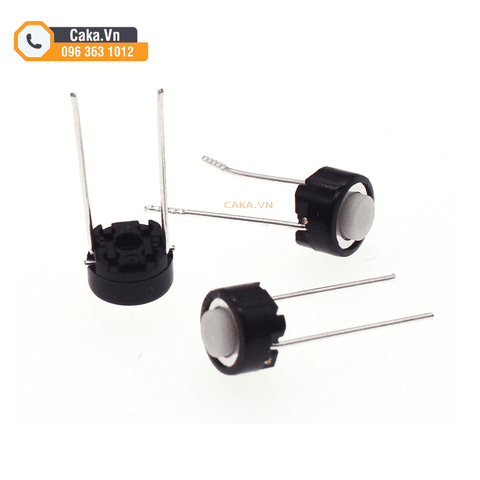 Nút Nhấn 2 Chân Xuyên Lỗ – Loại Nhấn Nhả