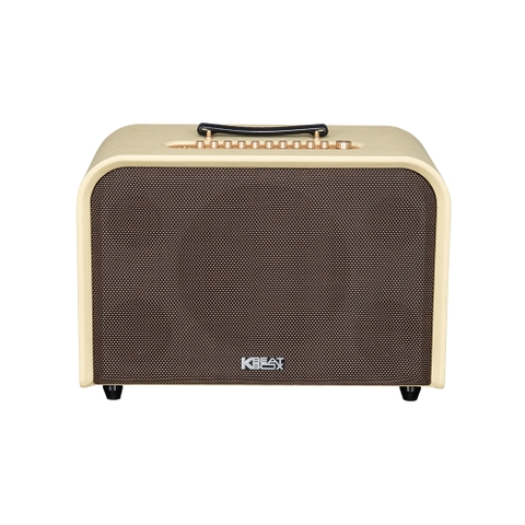 Loa Karaoke  Acnos Harmony  220W