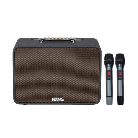 Loa Karaoke  Acnos CS250 PRO