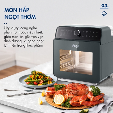 Nồi Chiên Hơi Nước DINGO DSF16
