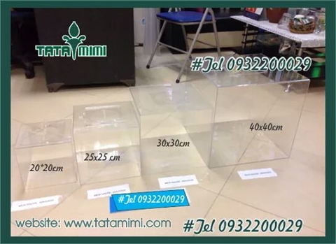 Các mẫu hòm phiếu có sẵn