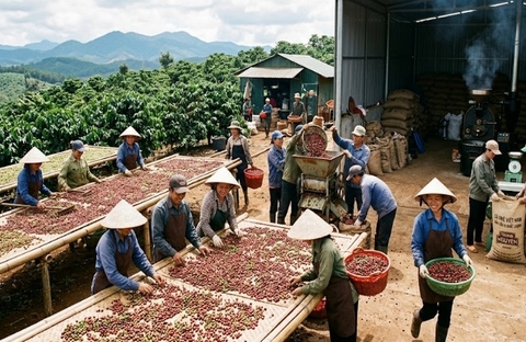 Bí Quyết Khởi Nghiệp Quán Cà Phê: Những Điểm Cần Lưu Ý và Gợi Ý Về Thiết Kế Nội Thất và Biển Hiệu