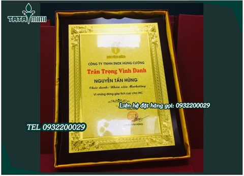 Mẫu vinh danh công ty
