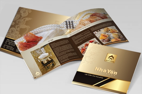 Thiết kế in catalogue quảng cáo cho các công ty