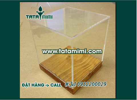 Sản xuất hộp mica đựng sản phẩm mẫu