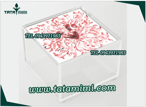  Hộp mica bảo vệ sản phẩm có in hình