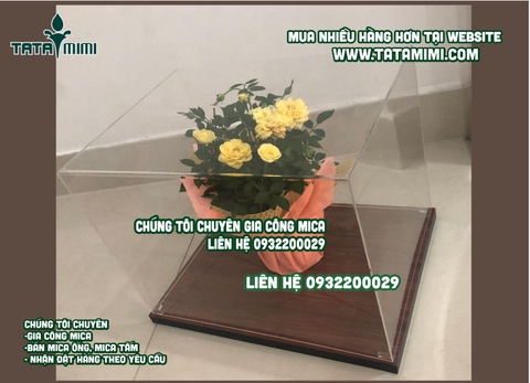 Hộp bằng mica và đế gỗ