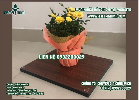 Hộp chụp mica bảo vệ sản phẩm