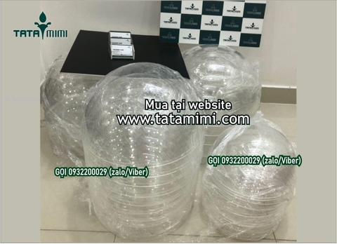 Hút nổi mica trong - mica màu