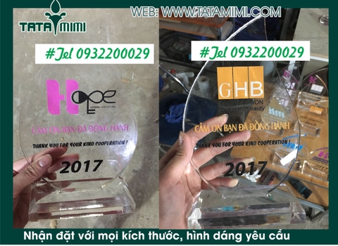 Kỉ niêm chương mica- Cup lưu niệm- Quà tặng