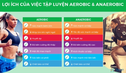 Aerobic và Anaerobic là gì?